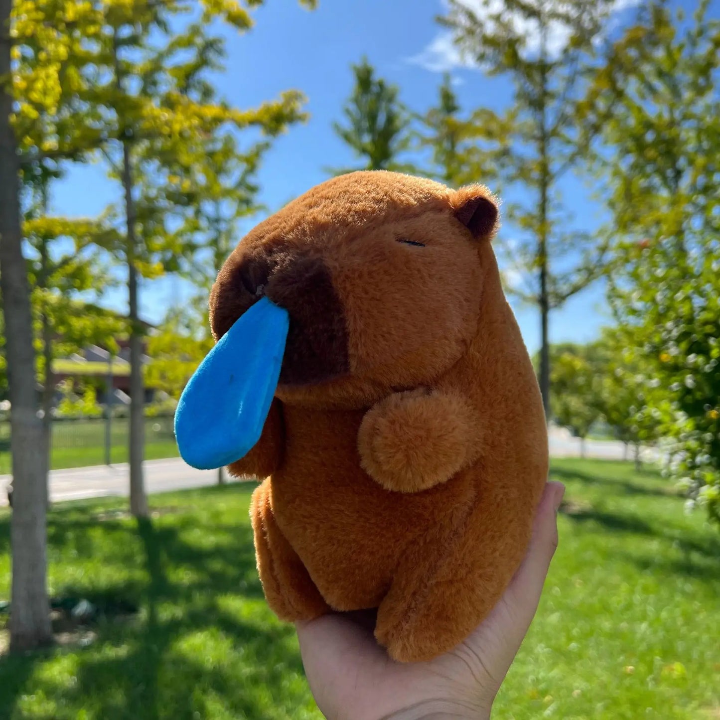 Capybara Plush Toy