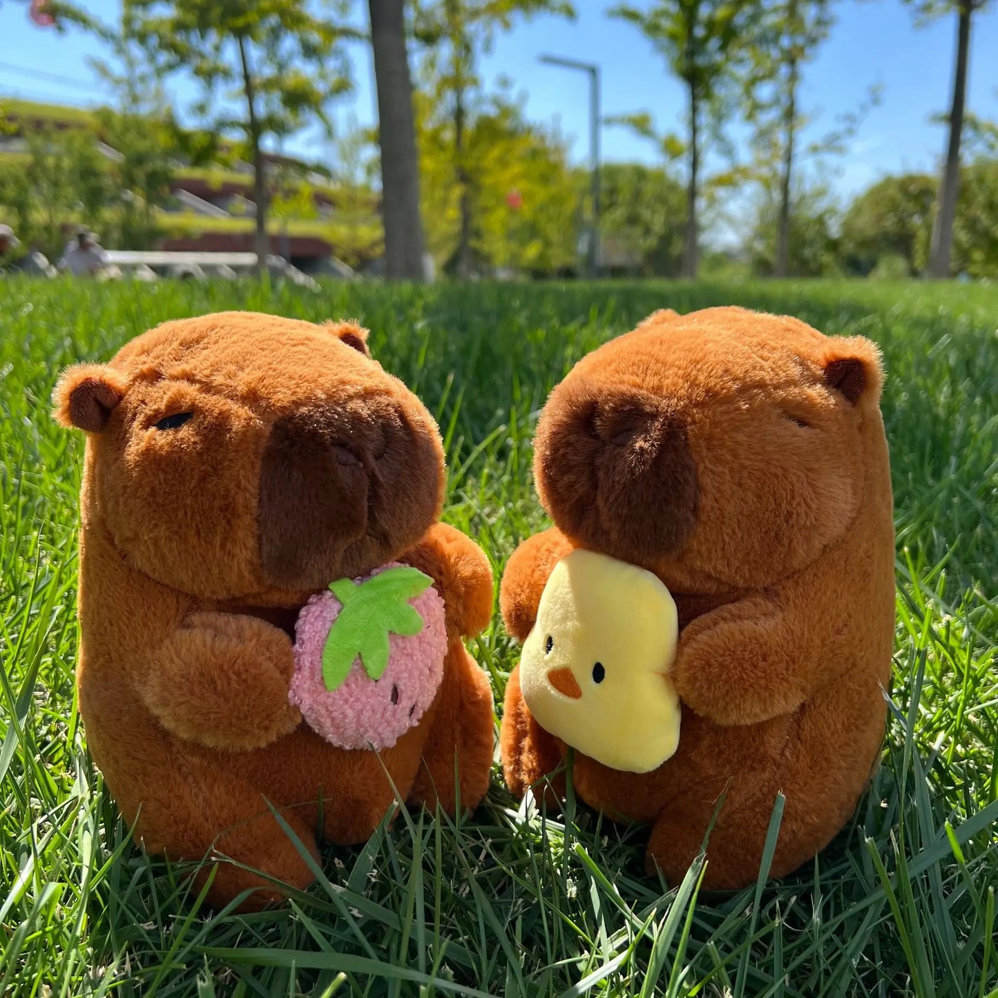 Capybara Plush Toy