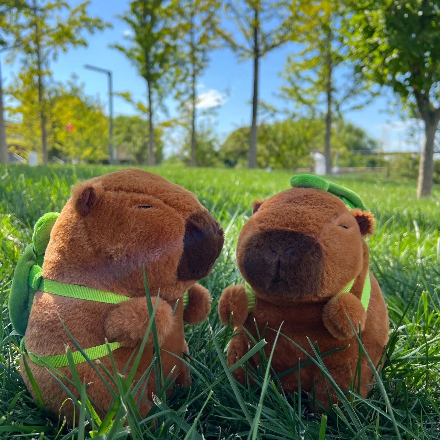 Capybara Plush Toy