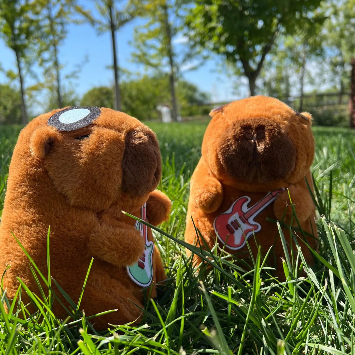 Capybara Plush Toy